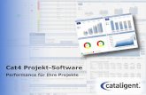 Cat4 Projekt-Software - .Multi-Projektmanagement Projektportale Genehmigungsprozesse, Workflows Projektportfoliooptimierung