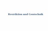 Restriktion und Gentechnik - pharmazie.heimat.eupharmazie.heimat.eu/downloads/5semester/biochemie/restriktion.pdf · Einteilung 1.) Restriktion - Restriktionsenzyme - Southern Blotting