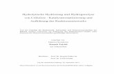 Hydrolytische Hydrierung und Hydrogenolyse von …darwin.bth.rwth-aachen.de/opus3/volltexte/2014/4851/pdf/4851.pdf · Berichter: Prof. Dr. Regina Palkovits Prof. Dr. Ferdi Schüth
