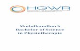 Modulhandbuch Bachelor of Science in Physiotherapie · Der Bachelor Studiengang Physiotherapie der Hochschule für Gesundheitsorien-tierte Wissenschaften Rhein-Neckar ist ein berufsbegleitender