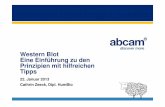 Western Blot Eine Einführung zu den Prinzipien mit …docs.abcam.com/pdf/events/German-WB-Webinar-15-Jan.pdf · Western Blot 22. Januar 2013 Cathrin Zeeck, Dipl. HumBio Eine Einführung