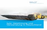 Salz : Gewinnung und Verwendung in Deutschland · aufgeschlossen. Die Kontrolle der Aussolung erfolgt durch Messung des Salzgehaltes und der Menge der geförderten Sole sowie zusätzlich