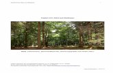 Kapitel 4.03: Wald und Waldtypen - Freie Schulbücher … · 2018-03-10 · Waldformen im Vergleich ... als im Nordischen Nadelwald). (In der Regel nur ca. 15 Laub- ... da Nährstoffe