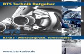 BTS Technik Ratgeber - autotec.ch · 2 Vorwort Mit der Broschüre „Turboladerschäden in der Werkstattpraxis“ halten Sie bereits den dritten BTS Technik-Ratgeber zum Thema „Turbolader“