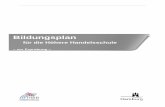 Bildungsplan - hibb.hamburg.de · • Auswirkungen ihrer Entscheidungen auf das Unternehmen zu analysieren und ange-messen zu berücksichtigen. ... • marketingpolitische Maßnahmen