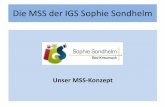 Die MSS der IGS Sophie Sondhelmigs-sophie-sondhelm.de/wp-content/uploads/2015/11/Powerpoint-MSS... · => Insgesamt sind somit 26 verschiedene Leistungskurskombinationen möglich!