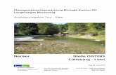 Schwerpunktgebiet Thur - Sitter - Umwelt · PDF fileAllgemeines: Das Zwischeneinzugsgebiet (ab Stelle OGT131) ist wie der Oberlauf auch über-wiegend durch Wald und Landwirtschaft