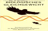 © Biologiezentrum Linz/Austria; download unter … · 2008-06-03 · Nahrungspyramide "Gestörtes" Gleichgewicht Beschreibung der einzelnen Arten, die in der Ausstellung gezeigt