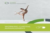 SymQ - SAP Treasury Beratung DE A4 · der Geschäftsprozesse im Forderungs- bzw. Debitorenmanagement können Unternehmen eine Reduzierung des Working Capitals erreichen und somit