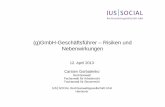 (g)GmbH-Geschäftsführer Risiken und Nebenwirkungenintecon.de/de/wp-content/uploads/2015/02/Praesentation-gGmbH-GF... · (g)GmbH-Geschäftsführer –Risiken und Nebenwirkungen 12.