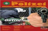 Nr.12 Dezember 2005 Zeitschrift der Gewerkschaft der … · minalität, Steuerhinterziehung, illegaler Beschäftigung und ge-werbsmäßiger Schwarzarbeit in Deutschland nur halbherzig