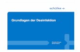 Grundlagen der Desinfektion - Startseite · 10.08.2008 | Titel der Präsentation | Schülke & Mayr GmbH | Seite 27 "Für die routinemäßige und prophylaktische Desinfektion, insbesondere