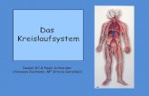Das Kreislaufsystem - fosbe.de · Das Herz - Die Anatomie - Die Bewegungen Der Blutkreislauf -Der großer Körperkreislauf - Der kleiner Lungenkreislauf Die Arteriosklerose Die gesunde