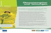 September 2009 Ökosystemgüter und -leistungenec.europa.eu/environment/pubs/pdf/factsheets/Eco-systems goods an… · im Mai 2008 vorgelegte erste TEEB-Zwischenbericht den jährlichen