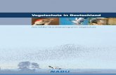 Vogelschutz in Deutschland - Naturschutzbund … · walski, Hans-Jürgen Stork und Christoph Kaatz sowie das Präsidium mit Helmut Opitz. ... über 100 Staaten unter dem Dach von