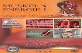 Muskel & Energie I - gida.de · Muskelaufbau Ober-/Unterarmknochen und Muskel Filme Muskeln, Bewegung und Energie Unsere Skelettmuskulatur Unsere Eingeweidemuskulatur Übersicht der