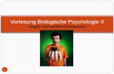 Vorlesung Biologische Psychologie II - psy.lmu.de · PDF fileVorlesung Biologische Psychologie II . ... Schandry R, Biologische Psychologie (2. ... Biopsychologie (6. Auflage) Kapitel