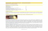 Gelenke und Knochen - Bruchrisiko - forum …forum-bioenergetik.info/pdfs/pdfs/1306848267_knochen1.pdf · 7/12/2010 · Seite 1 von 16 Gelenke und Knochen - Bruchrisiko (Sendungen