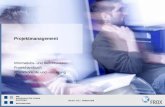 Projektmanagement - pmcm.frox. Projektmanagement Informations- und Berichtswesen Projekthandbuch