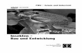 Insekten – Bau und Entwicklungdbbm.fwu.de/fwu-db/presto-image/beihefte/46/022/4602250.pdf · Die „Liesmich“-Datei im Ordner „Acrobatreader“ klärt Sie über die Instal-lations-