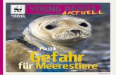 Young Panda-Aktuell, Ausgabe 08.2014 - Plastikmüll · 2014-07-16 · dabei auch Dinge, die nicht ins Meer gehören. Fachleute haben ... So gelangt Plastik über die ... den Fressern