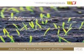 Broschüre "Quer durch Schleswig-Holstein - Themen · Morsumkliff Sylt ..... 73 Binnendünen Süderlügum ..... 76. 4 5 ... Wasserversorgung der Pflanzen. So ist in allen Fällen