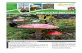 Amts- und Mitteilungsblatt der Gemeinde Waldaschaff ... · Wasserversorgung: Bei Störungen am ... Sylt wird von einer mysteriösen Einbruchserie erschüttert. Nicht die millionenschweren