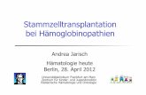 Stammzelltransplantation bei Hämoglobinopathiensa7608091573c2b18.jimcontent.com/download/version/1430746113/... · identisch Geschwister =MSD nicht möglich HLA phänotypisch ...