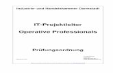 IT-Projektleiter Operative Professionals - IHK Darmstadt · Berufliche Qualifizierung zu den zertifizierten IT-Spezialisten (§ 2 Abs. 2), ... Durch die Präsentation und das Fachgespräch