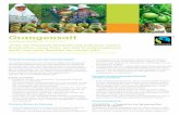 Factsheet - Fairtrade Orangensaft - fairtrade … · – Knapp 80 Prozent der weltweiten Orangensaft-Exporte stammen aus Brasilien. – Pro Kopf werden in Deutschland 33 Liter Fruchtsaft