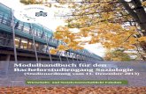Modulhandbuch BA-Studiengang Soziologie · Einführung in die Jugend- und Bildungssoziologie 6 Grundlegende Methoden der empirischen Sozial-forschung 6 B) Vertiefungsstudium (36 LP)