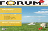 Zwischen den Meeren - FORUM | BDVIbdvi-forum.plus-b.net/wp-content/uploads/FORUM_4_2014.pdf · Und Siemens ist überall. ... schön neugierig, so’n FORUM. Aber bei Overath, Holst