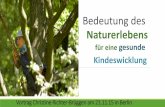Vortrag am 5.9.2014 in Hamburg - bvnw.debvnw.de/wp-content/uploads/2015/11/Bedeutung-des-Naturerlebens-f... · „Wer über kindliche Entwicklung redet, muss ... Erkenntnisse der