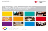 Kurz-Dokumentation - Deutsches Rotes Kreuz e.V. … Zettl, Universität Stuttgart, Institut für Arbeitswissenschaft und Technologiemanagement (IAT) 9 Um die Strukturen und Ressourcen