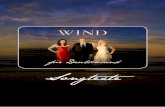 Songtexte - Albumplayer Gruppe WIND Lass den …gruppewind.de/assets/wind---fuer-deutschland---songtexte.pdf · Dann sing‘ ich nur für dich dieses Lied ... Du bist das Licht, ...