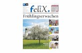 FELIX - Wochenzeitung der Stadt Arbonmediarbon.ch/archiv/pdf/12-05-04_felix.pdf · – von allen Krankenkassen anerkannt – offizielle Pflegetarife – zuverlässig, individuell