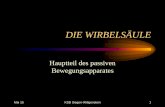 DIE WIRBELSÄULE - uni-siegen.de · 80 von 100 Deutschen haben Rückenbeschwerden Die Wirbelsäule Mai 15 KSB Siegen-Wittgenstein 2