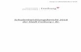 Schulentwicklungsbericht 2018 der Stadt Freiburg i. Br. · 4 Seite 6.2.1 Regionales Übergangsmanagement/AVdual 43 6.2.2 Vertiefte berufliche Orientierung 44 6.3 Diversität 44