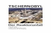 TSCHERNOBYL - walterbauer.org · Der Unfall im Kernkraftwerk Tschernobyl ist der folgenreichste Vorfall in der über 50jährigen Geschichte der Kernenergienutzung. Die beträchtliche