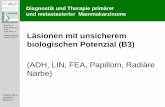 biologischen Potenzial (B3) - AGO-Online · Umfasst: Zentrales Milchgangspapillom, Papillom der großen Ausführungsgänge (B3), Papillom mit Atypien Abzugrenzen von peripheren Papillomen,