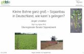 Kleine Bohne ganz groß – Sojaanbau in Deutschland, … · Sortenwahl so ausrichten, dass die Ernte im September erfolgen kann! Warmer, trockener Standort: Je später die Sorte