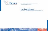 01 lehrplan 2004 final 27 05 04 - Kantonsschule · PDF fileArbeitstechniken (wie Mind Mapping, Clustering) Kenntnisse in der Informationsbeschaffung (Nachschlagewerke, Bibliotheken,