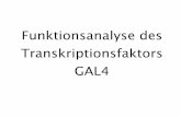 Funktionsanalyse des Transkriptionsfaktors GAL4 · Gliederung 1) Wie funktioniert der Mechanismus der Transkriptionsaktivierung bei GAL4? 2) Welche Regionen des Transkriptionsfaktors