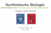Synthetische Biologie - Science Bridge e.V. · Gliederung 2 Was ist ... In DNA-freie Zelle von Mycoplasma capricolum