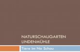 Naturschaugarten Lindenmühle · Daher können Fehler bei der Beschriftung vorgekommen sein. Na Schau! –der Naturschaugarten. Trauer-Rosenkäfer - Oxythyrea funesta Blaue Holzbiene