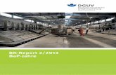 Deutsche Gesetzliche Unfallversicherung e.V. (DGUV)publikationen.dguv.de/dguv/pdf/10002/bk_0213.pdf · cases of BKs 4113 and 4114, study of the work ... 6.4.3 Herstellung von Werkstoffen