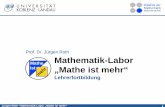 Prof. Dr. Jürgen Roth Mathematik-Labor - dms.uni-landau… · Grundlagen der Laborarbeit. Jürgen Roth • Mathematik-Labor „Mathe ist mehr“ 21. Vernetzung mit dem Mathematikunterricht.