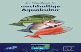 Ein Handbuch für nachhaltige Aquakultur - Verband - · PDF fileEin Handbuch für nachhaltige Aquakultur. SUSTAINAQUA HANDBUCH 1/116 Vorwort 3 1. ... Bremerhaven, Deutschland, Juni