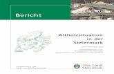 Altholzsituation in der Steiermark - Abfallwirtschaft ... Bericht zur Altholzsituation in der Steiermark