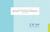 Wirkung und Effizienz von Strafrecht: „Was ... - ftp.zew.deftp.zew.de/pub/zew-docs/dp/dp08056.pdf · Datenbasis, da sie heterogen genug ist, um die Wirkung konkurrierender Strategien